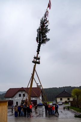 maibaum20190501-ff-pehendorf-muskelkraft.jpg